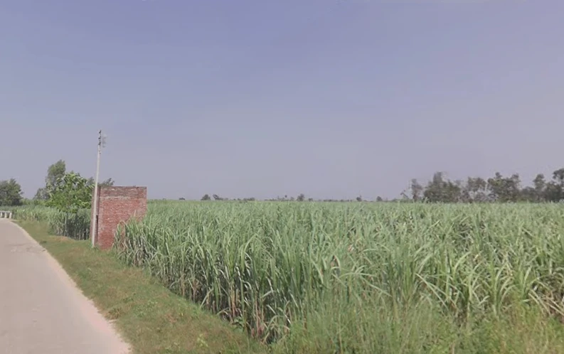 Moradabad, Uttar Pradesh, India