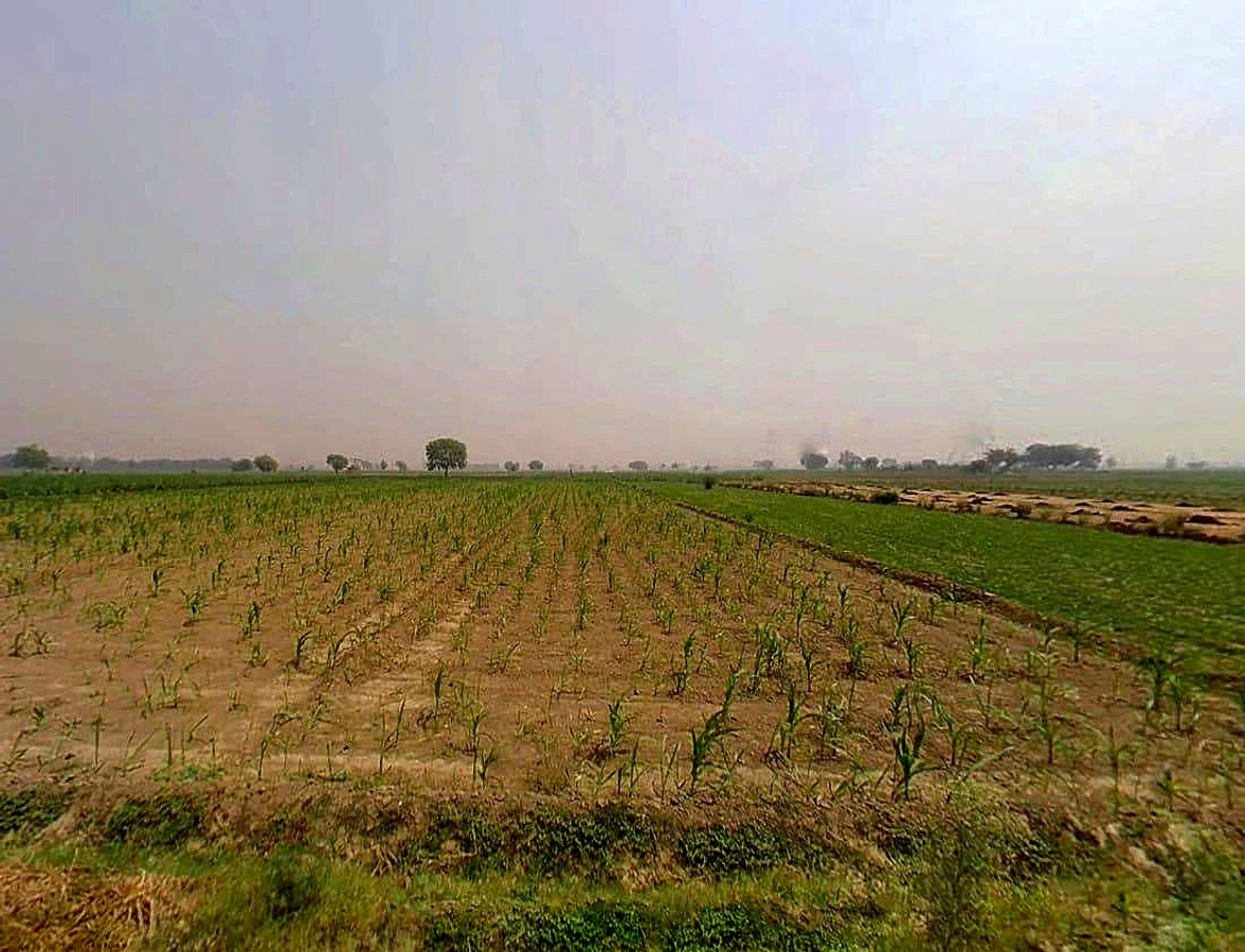 Jogipura, Uttar Pradesh 245206, India