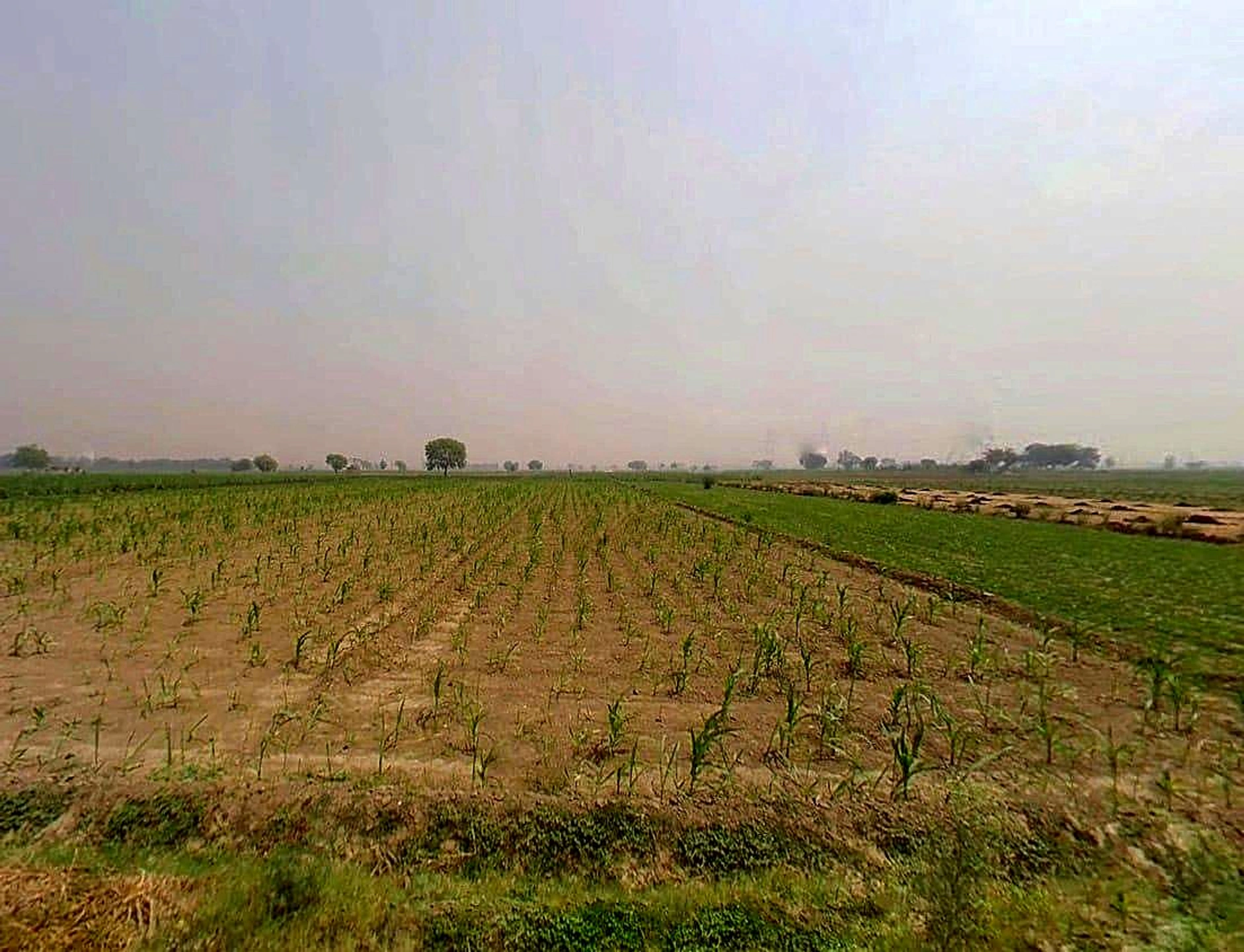 Jogipura, Uttar Pradesh 245206, India