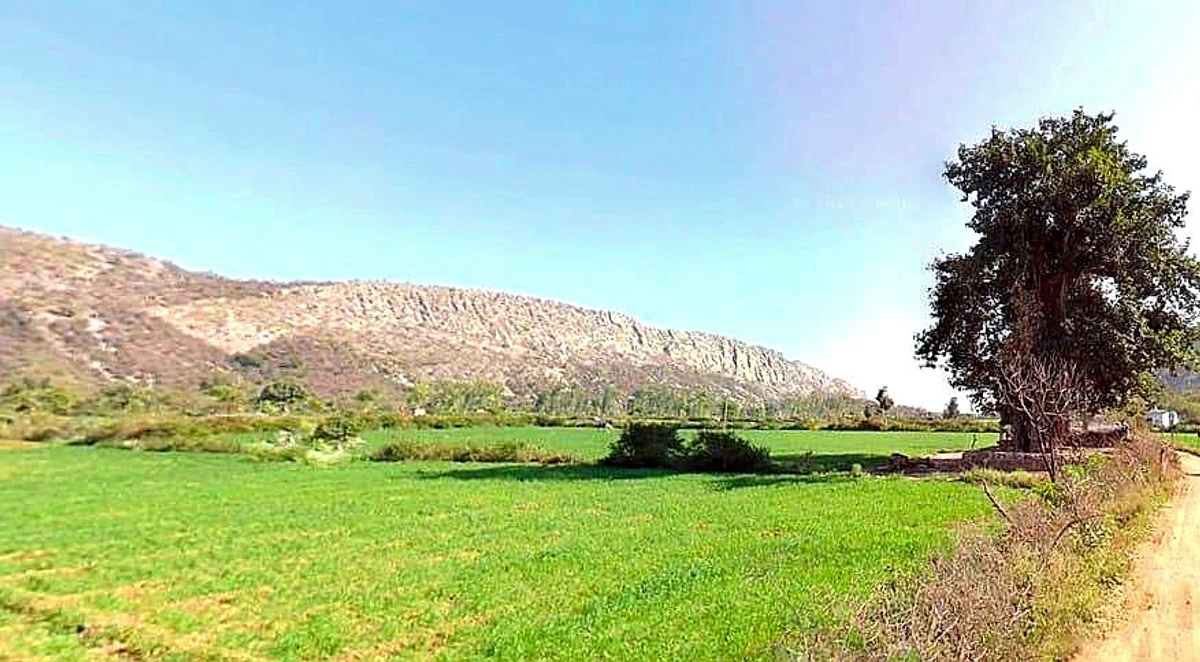 VPO, HJHV+8G2, TEH, Ranjeet Nagar, Daudpur, Tulera, Alwar, Rajasthan 301001, India