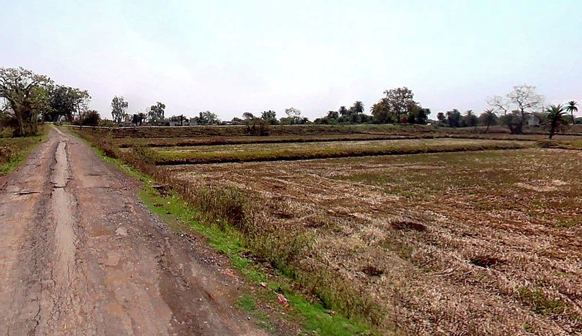 PG7P+J69, Simga - Kawardha Rd, Berla, Bemetara, Chhattisgarh 491335, India