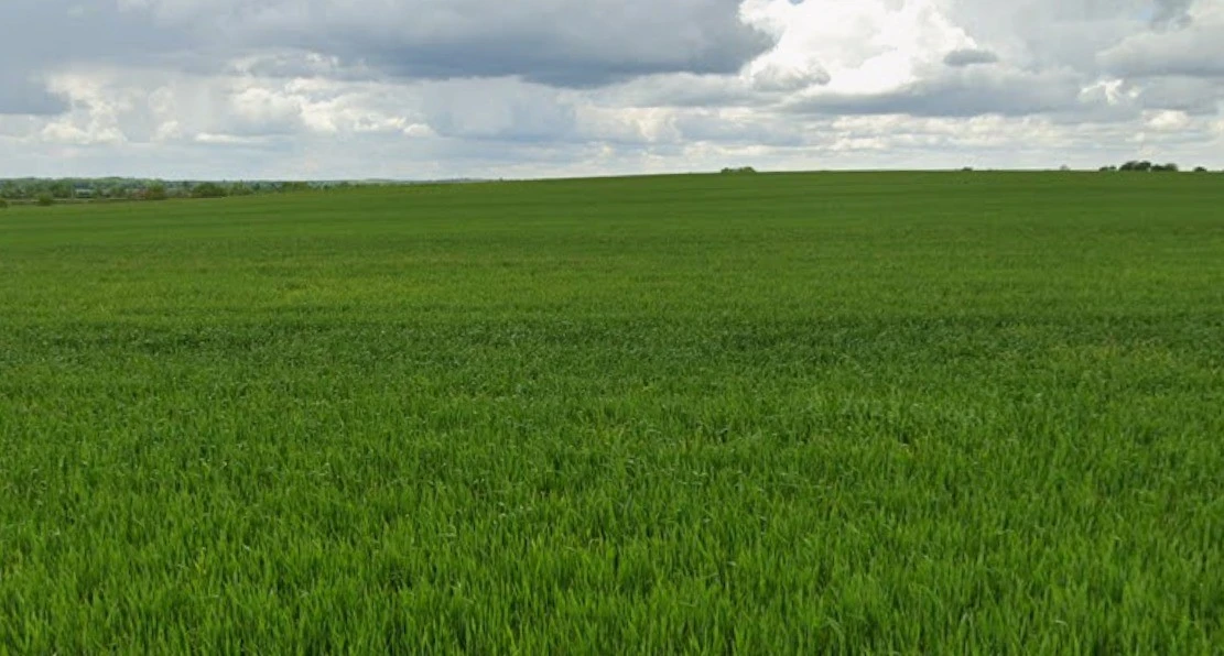 Khargone, Madhya Pradesh 451001, India