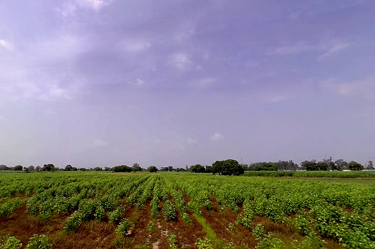 X8CR+FWC, NH 19, Khatela Sarai, Haryana 121105, India