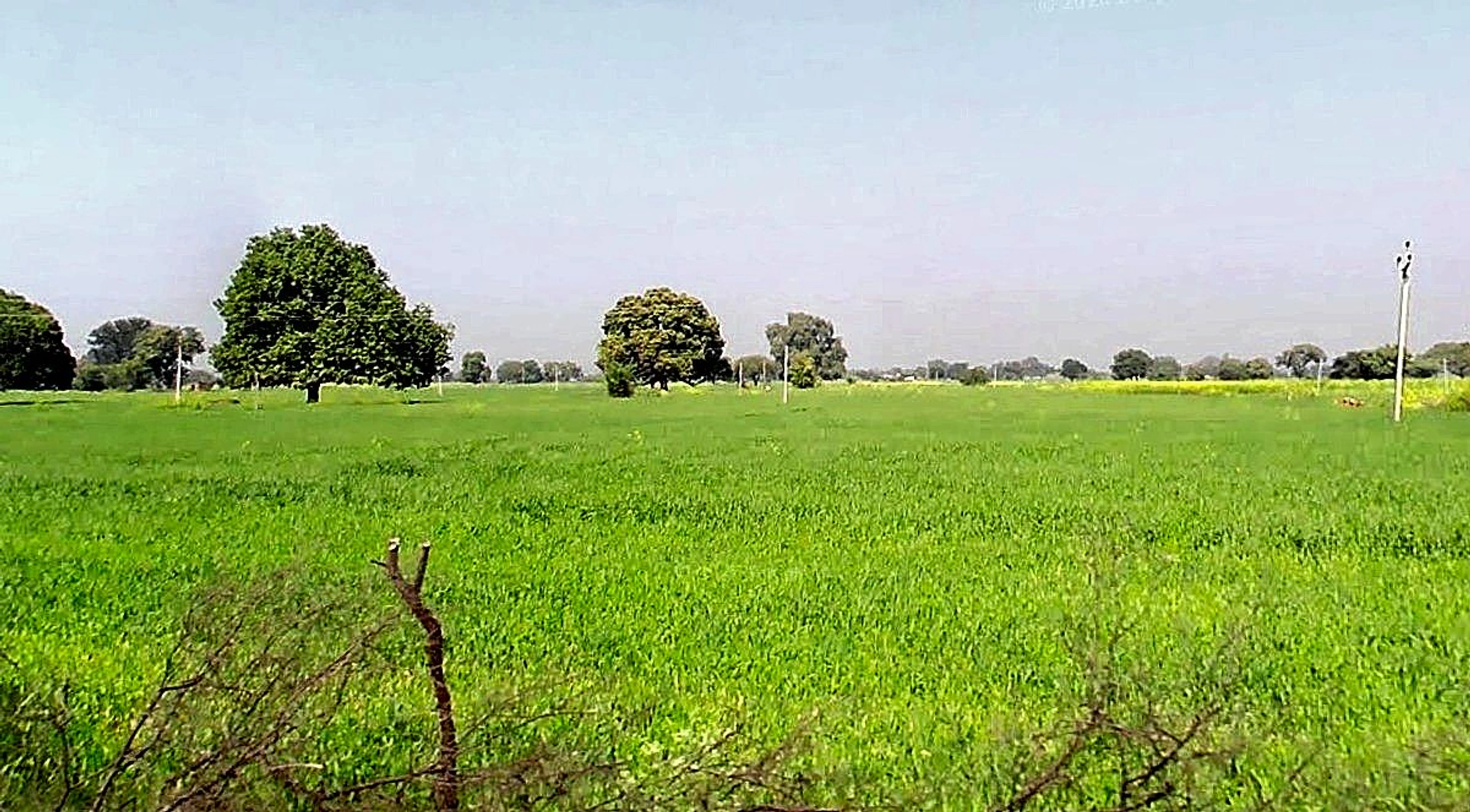 Gora, Madhya Pradesh 475685, India