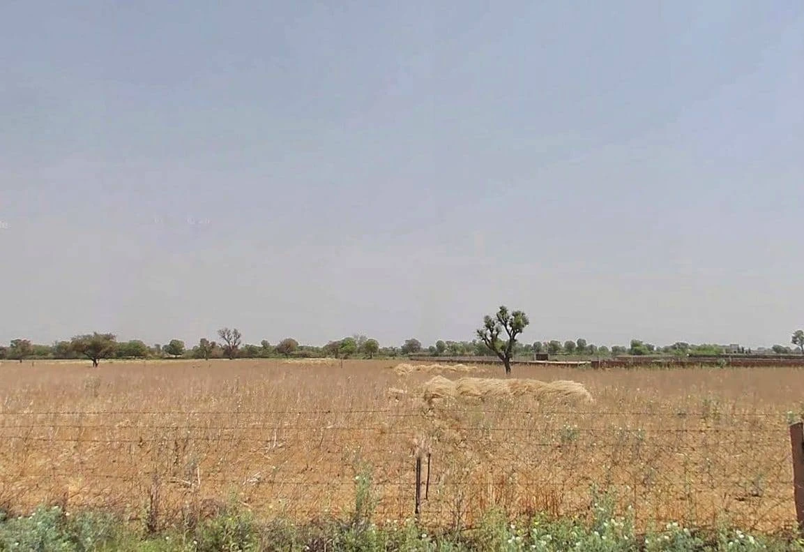 QW5G+RX Ralawata, Rajasthan, India