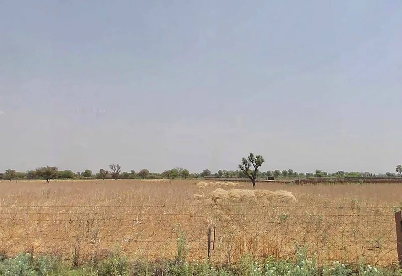 QW5G+RX Ralawata, Rajasthan, India preview 2