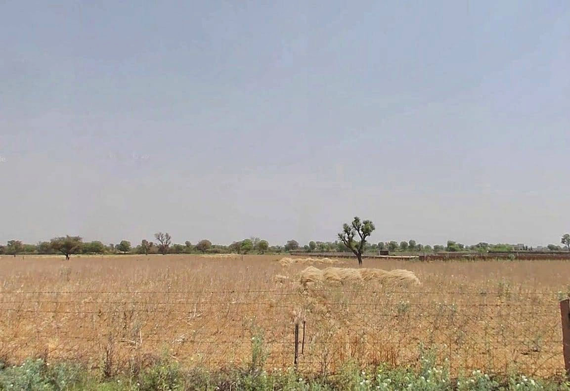 QW5G+RX Ralawata, Rajasthan, India