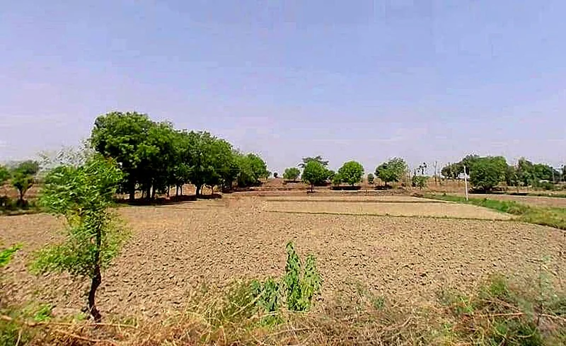 Seethal, Rajasthan 314403, India preview 2