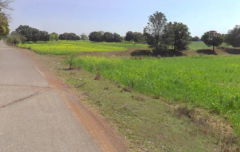 Nawagaon, Chhattisgarh 492101, India preview 2