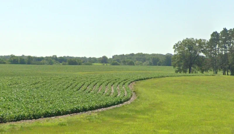 Gohinda, Madhya Pradesh 475220, India preview 3