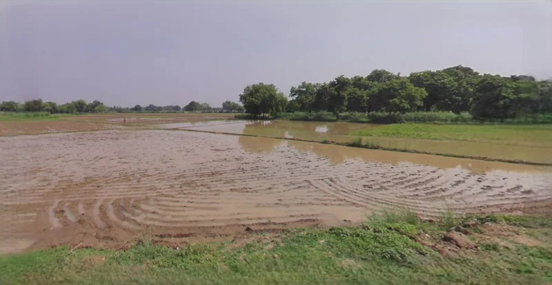 Budaun, Uttar Pradesh 243601, India preview 3