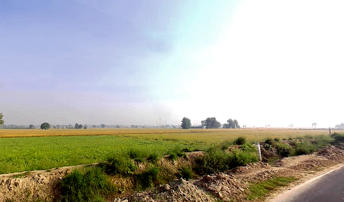 Shekhu Khera, Haryana, India