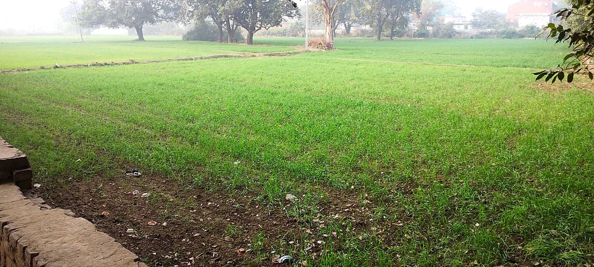 Bahaj, Rajasthan, India