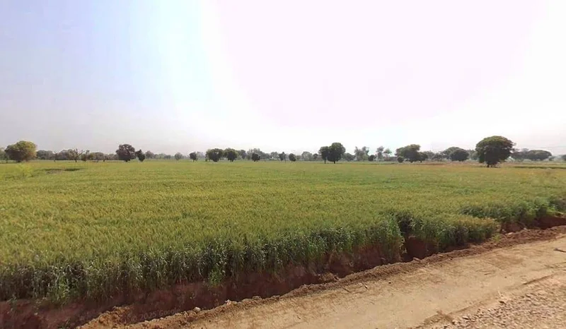 Kherli, Rajasthan 321606, India