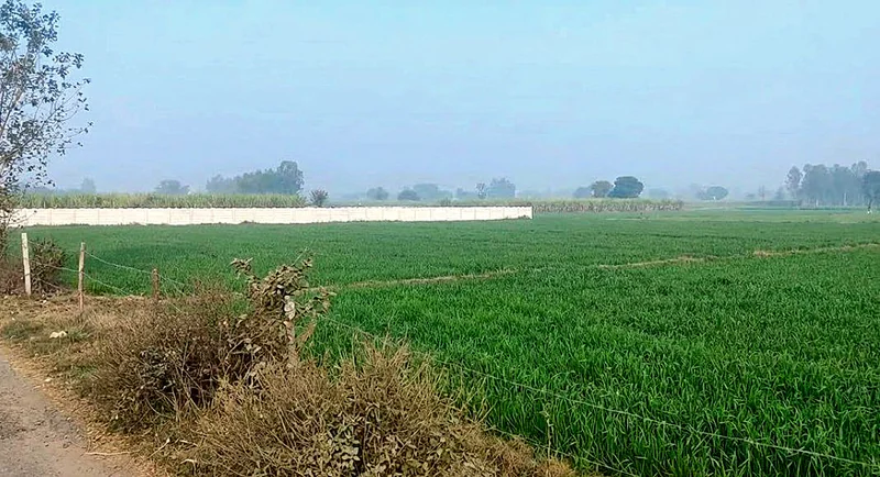 Agricultural Land in Dadri, Gautam-buddha-nagar