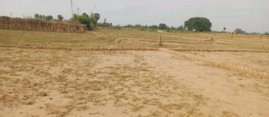 Naubatpur, Bihar 801109, India