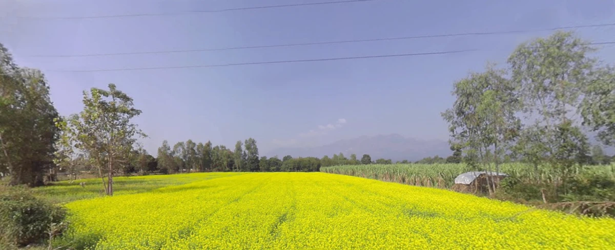 Mukteshwar, Uttarakhand, India