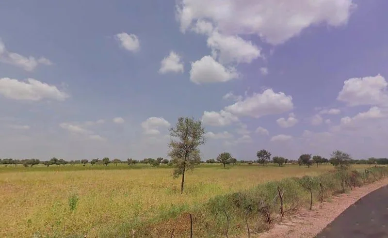 Agricultural Land in Bhadana, Phalodi