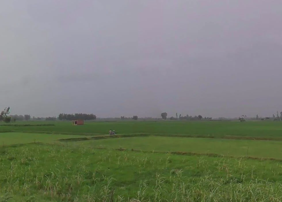 Navdiya, Uttar Pradesh 242042, India