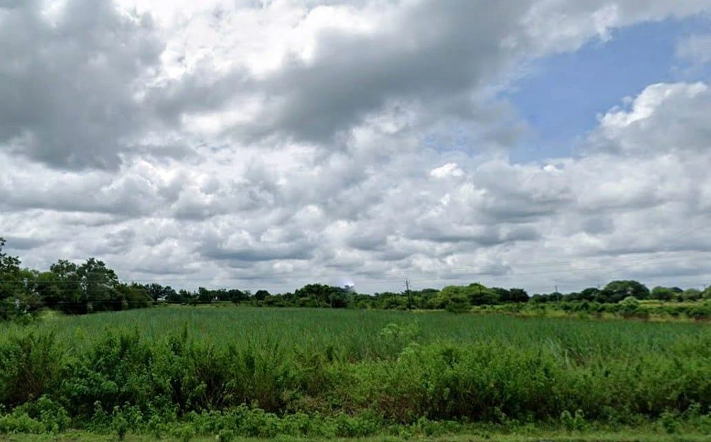 RWFG+JRV, Sastapur, Karnataka, India