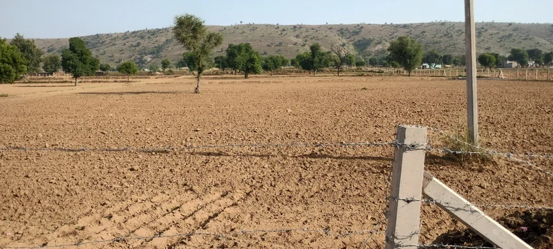 Kerwawal, Rajasthan, India