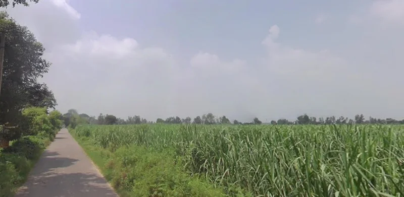 Kashipur, Uttar Pradesh, India preview 2