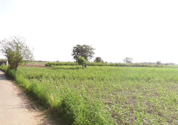 Kankather, Uttar Pradesh 244235, India