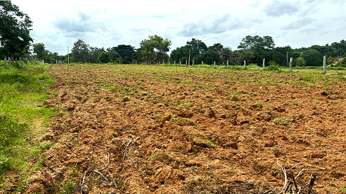 F929+M9 Kamakshihalli, Karnataka, India