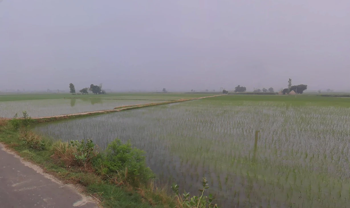 Chanchak, Haryana 136035, India