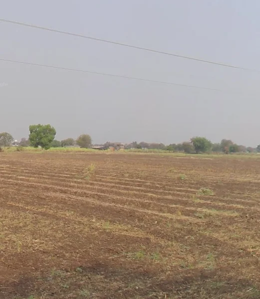 Agricultural Land in Sawargaon, Buldhana