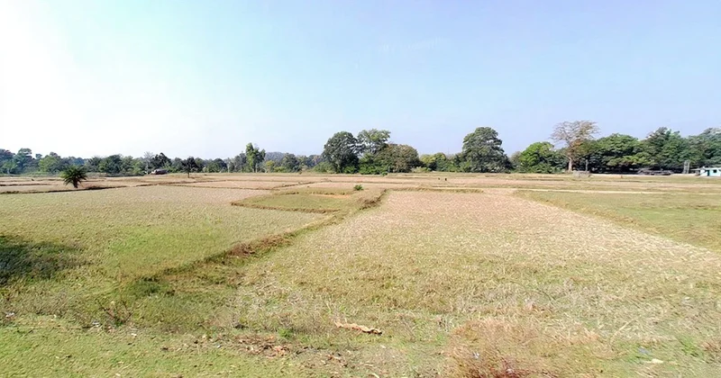 Agricultural Land in Binmitrapur, Sundargarh
