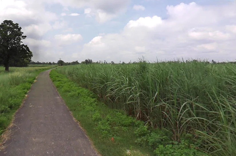 Mankapur, Uttar Pradesh 271302, India