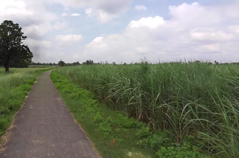 Mankapur, Uttar Pradesh 271302, India