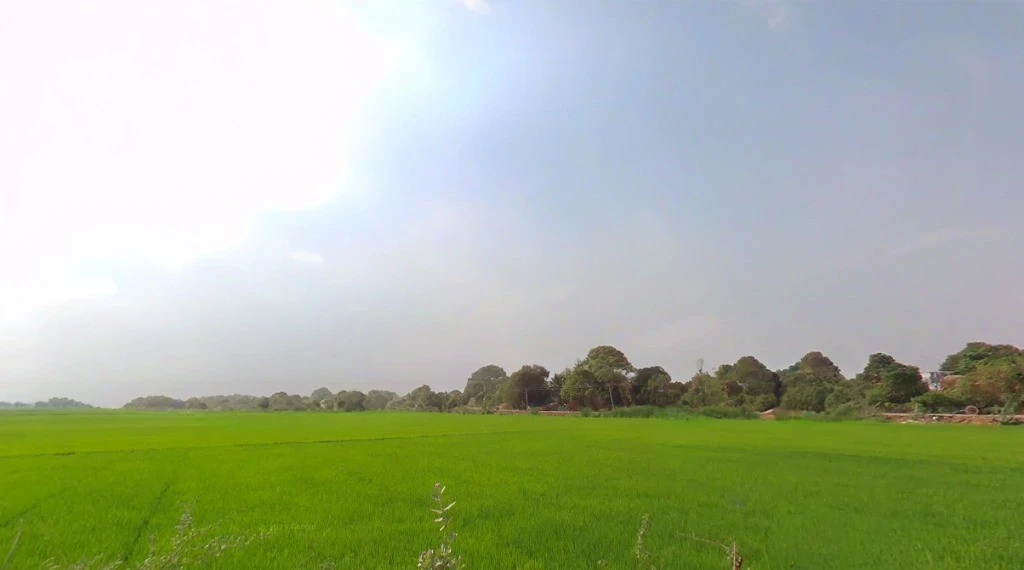 Tipani, Chhattisgarh 493770, India