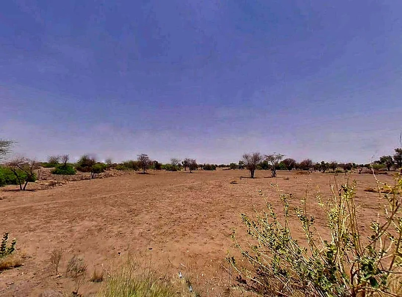 Agricultural Land in Rohat / lambra, Pali