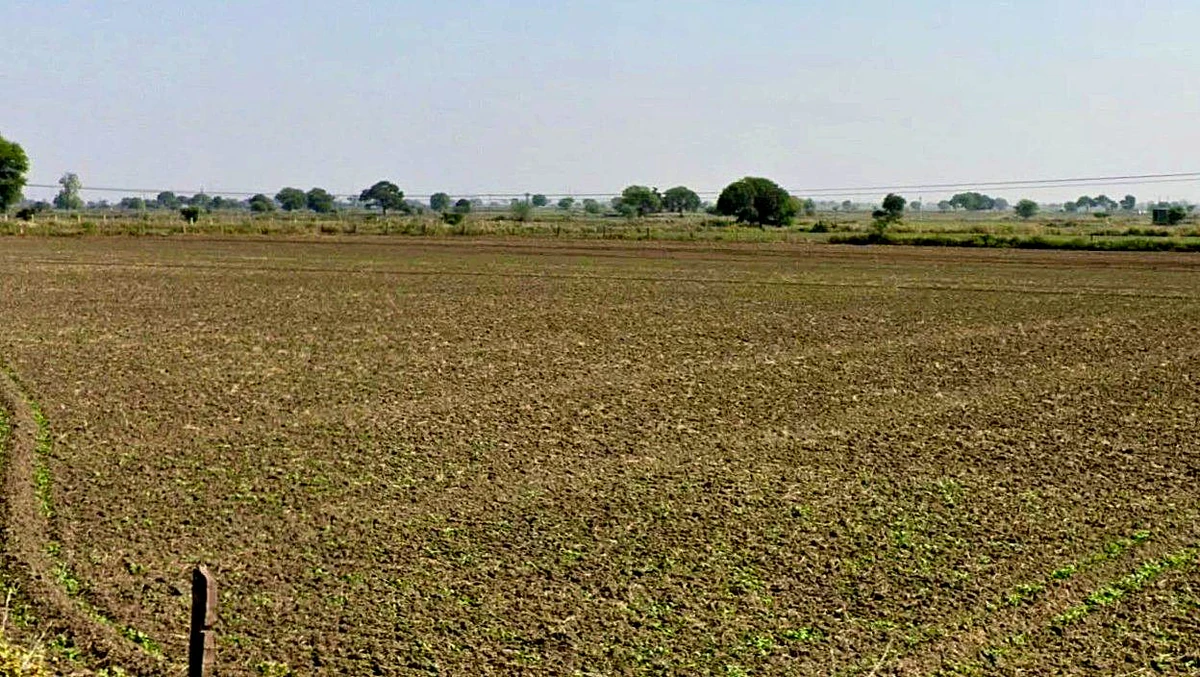 RFWC+977, Miana, Madhya Pradesh 473113, India