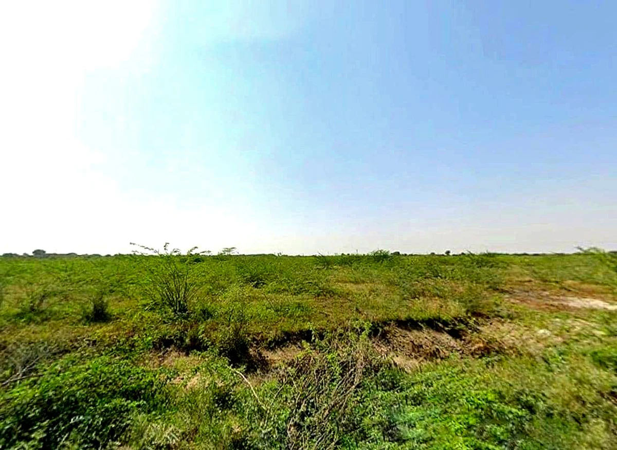 Q6R7+JRQ, Jawariya, Rajasthan 306401, India