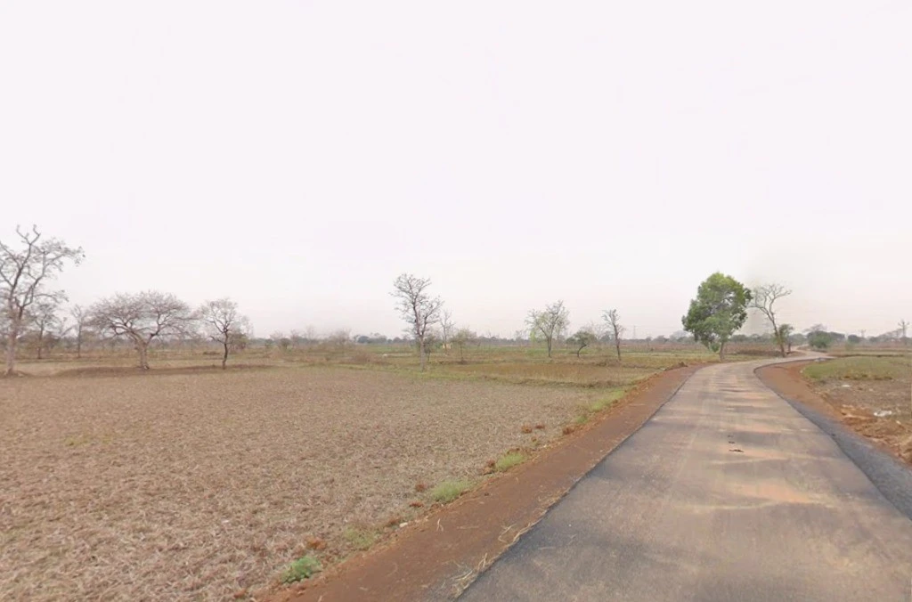 Mohra, Chhattisgarh, India