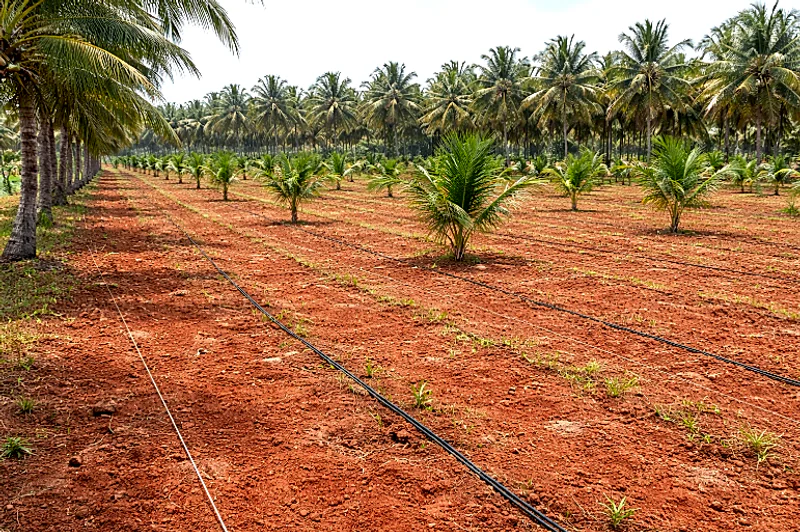 XMFW+Q2 Nitre, Karnataka, India