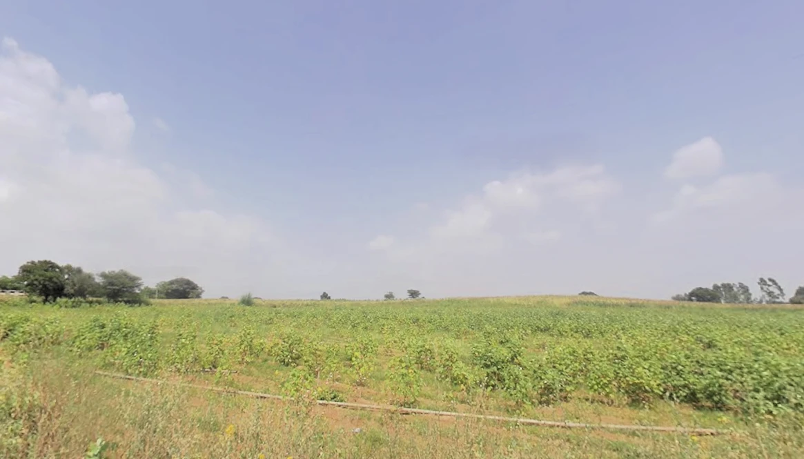 Kheri Bura, Haryana 127306, India