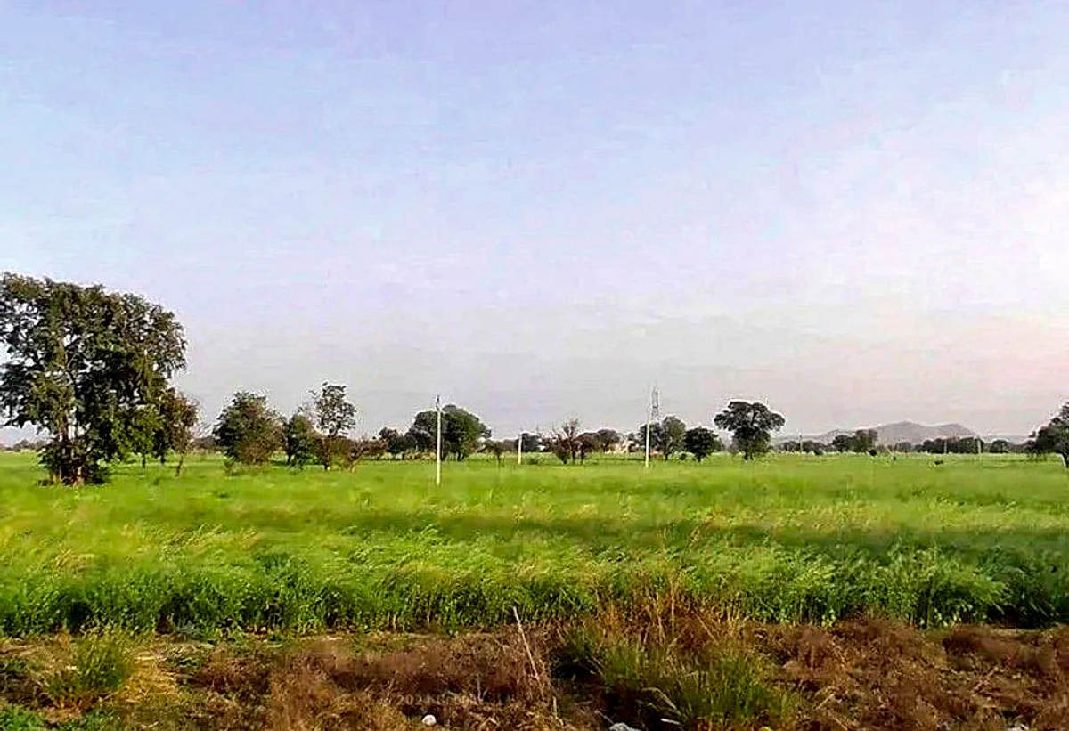 CCH8+2VQ, Khatu Shyam Ji Rd, Mandha, Madani, Rajasthan 332402, India