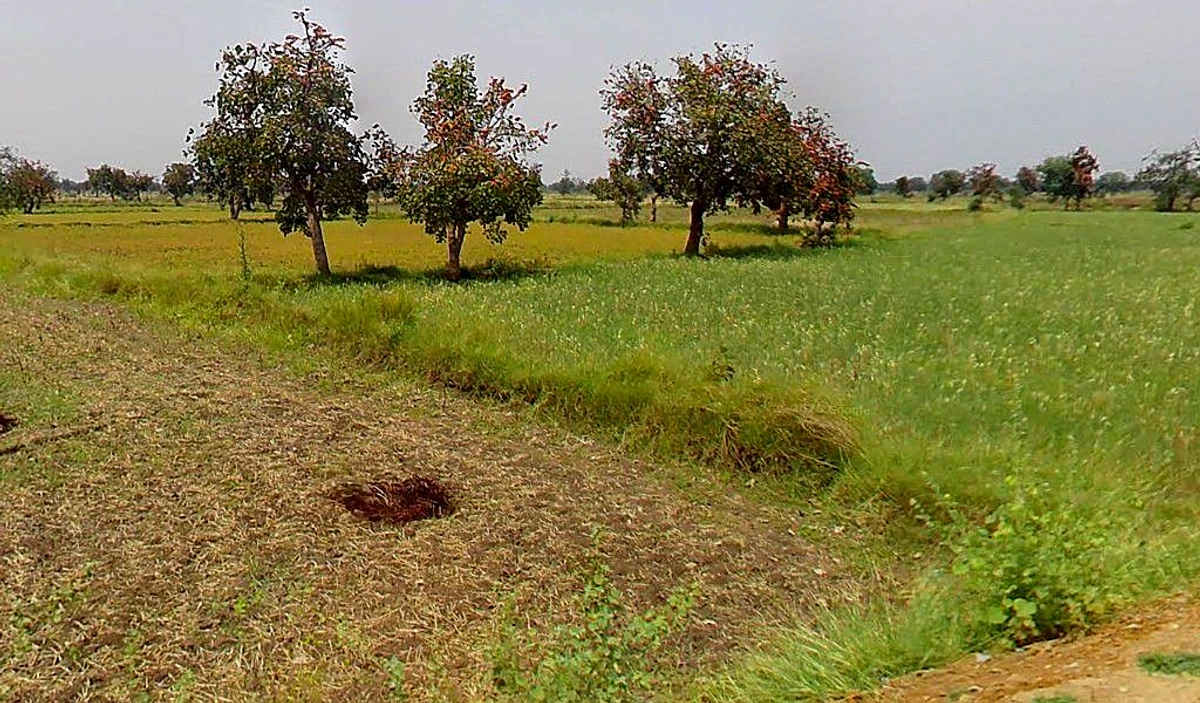 Khaira, Chhattisgarh 493118, India
