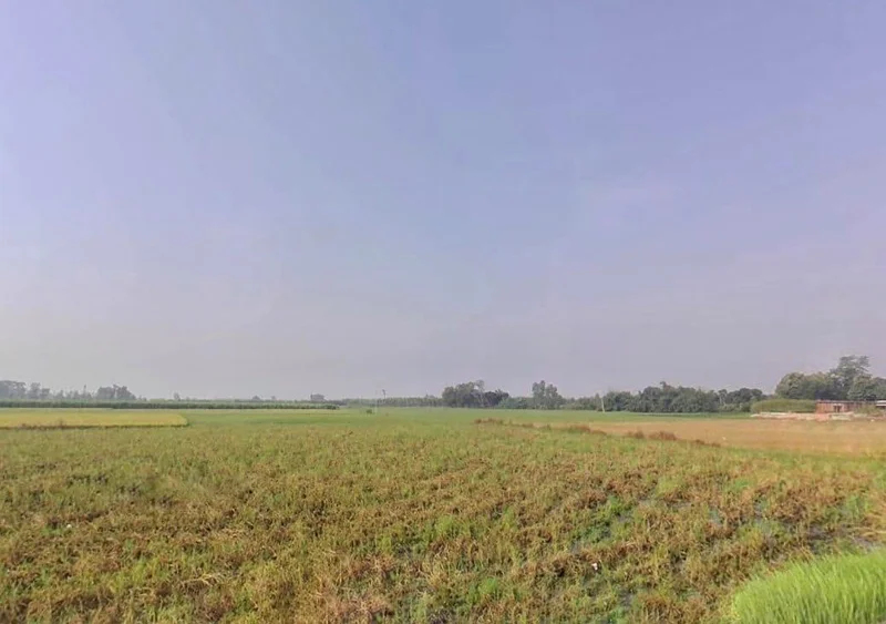 VV4Q+FW, Bhagchuri, Uttarakhand 262308, India preview 2