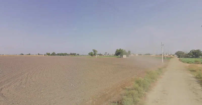 Agricultural Land in Rapar/adesar, Kutch