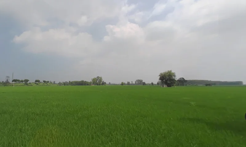 Ladhowal, Punjab 141008, India preview 3