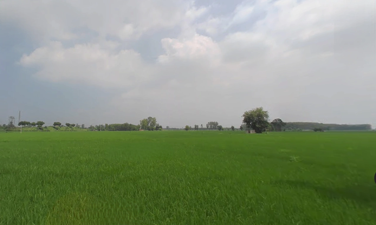 Ladhowal, Punjab 141008, India