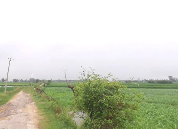 Kankather, Uttar Pradesh 244235, India