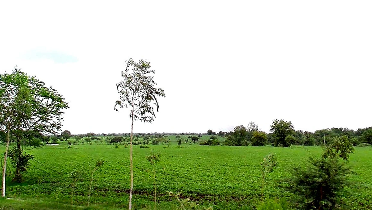 Amrod, Madhya Pradesh 466001, India