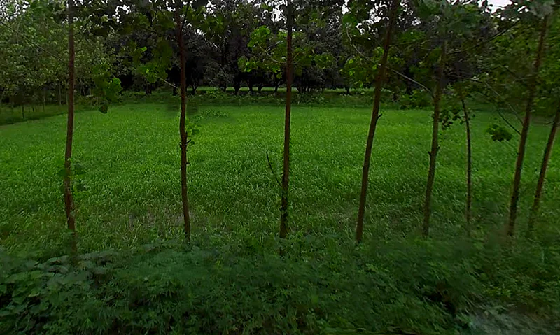 Pathed, Uttar Pradesh 247669, India preview 2