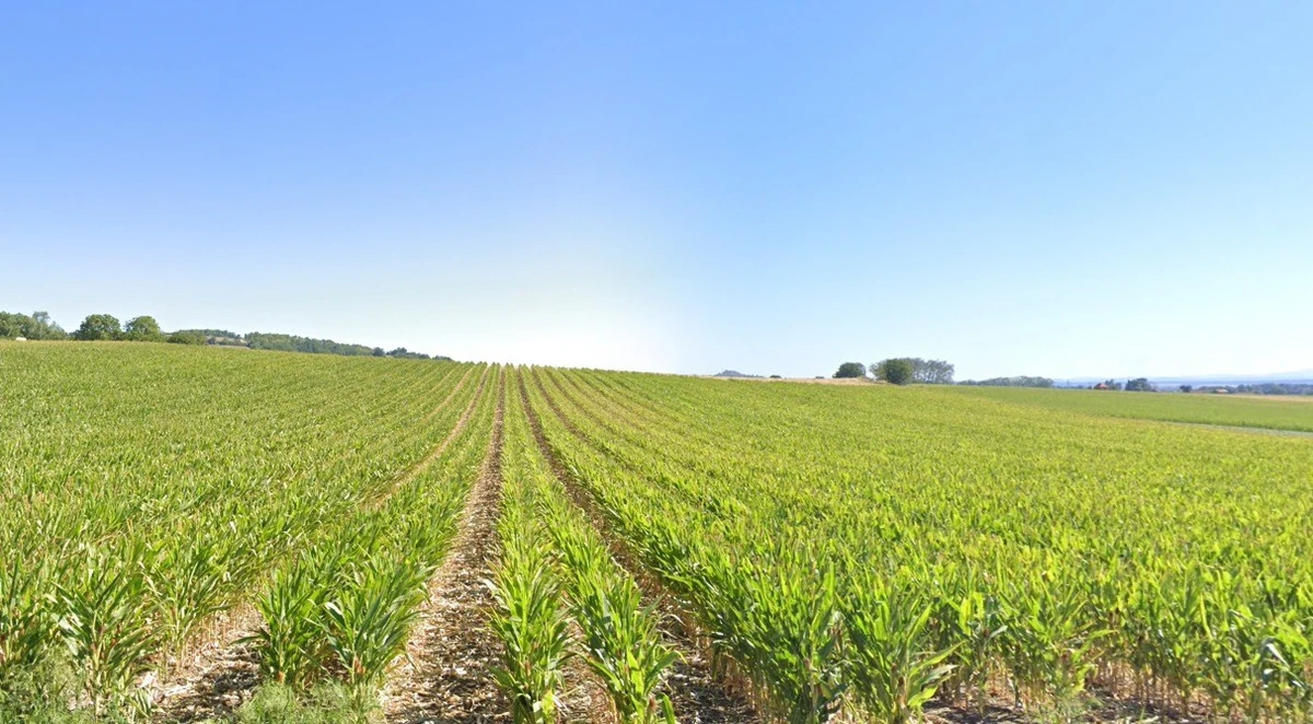 Unnao, Uttar Pradesh, India